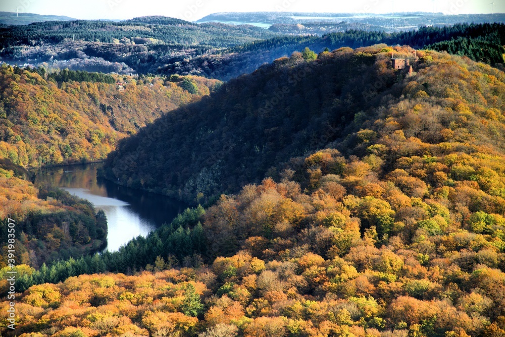 Fototapeta premium Saar an der Saarschleife mit Blick auf die Burg Montclair
