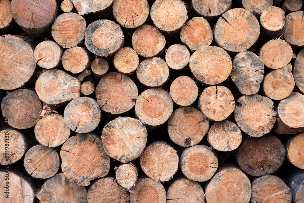 Pile of wooden logs stacked together on top of each other. Natural wood, sawn logs as background. Wall of stacked wood logs Pile of wooden logs stacked together on top of each other. Natural wood, sawn logs as background. Wall of stacked wood logs