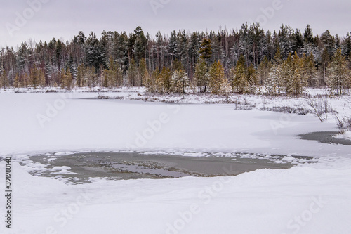 Winter landscape. A frozen forest lake with an ice hole. Coniferous forest in the background.