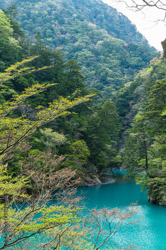 日本 静岡県川根本町、寸又峡の景色
