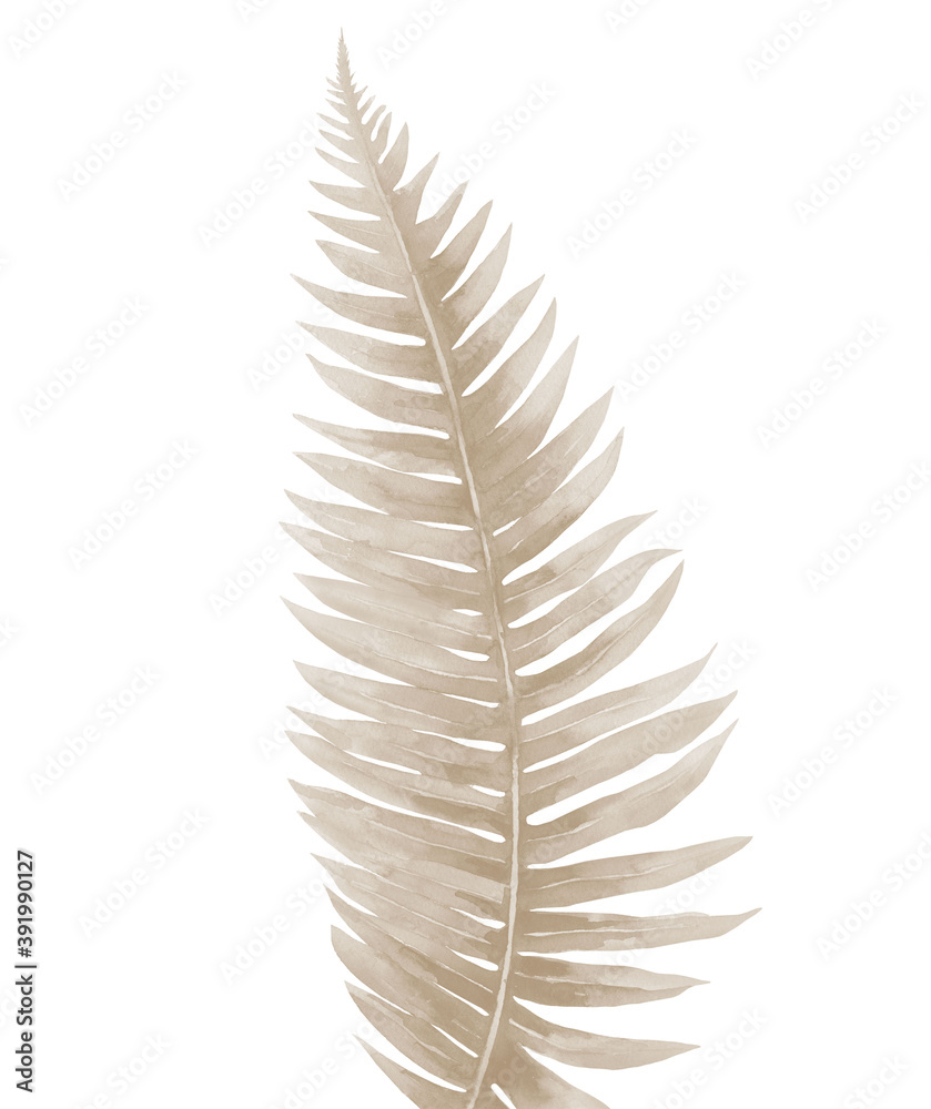 Neutral fern leaves. Dried forest plant. Pastel design for a invitation, greeting, card, postcard, textile, wrapper pattern, frame or border. Watercolour illustration isolated on white background.