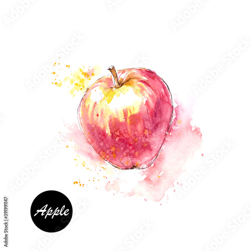 Hand drawn watercolor and ink sketch of red apple