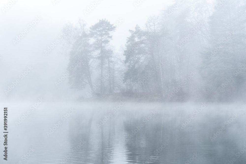 Foggy November morning view of the lake and forest in Vilnius Lithuania