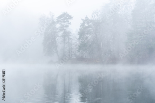 Foggy November morning view of the lake and forest in Vilnius Lithuania