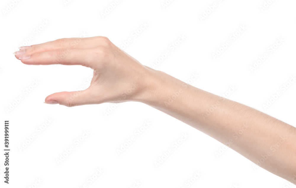Female caucasian hands isolated white background showing different gestures. woman hands showing gesture holds something or takes, gives, points Female caucasian hands isolated white background showing different gestures. woman hands showing gesture holds something or takes, gives, points