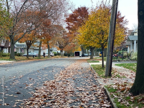 autumn in the park
