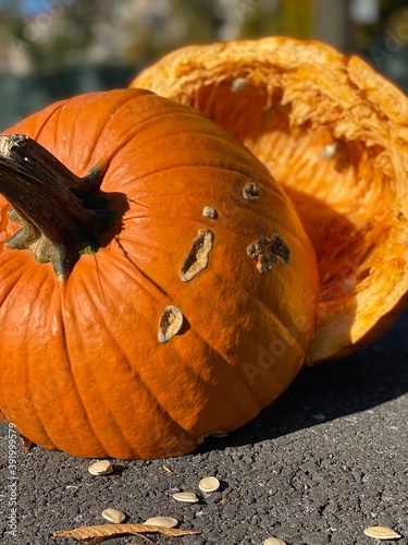 pumpkin