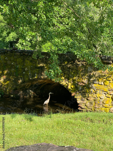 bridge