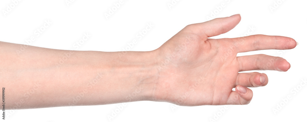 Female caucasian hands isolated white background showing different gestures. woman hands showing gesture holds something or takes, gives, points Female caucasian hands isolated white background showing different gestures. woman hands showing gesture holds something or takes, gives, points