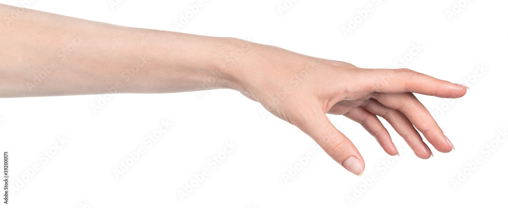 Female caucasian hands isolated white background showing different gestures. woman hands showing gesture holds something or takes, gives, points