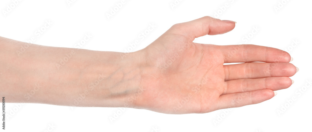 Female caucasian hands isolated white background showing different gestures. woman hands showing gesture holds something or takes, gives, points Female caucasian hands isolated white background showing different gestures. woman hands showing gesture holds something or takes, gives, points