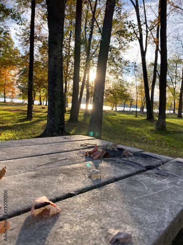 autumn in the park