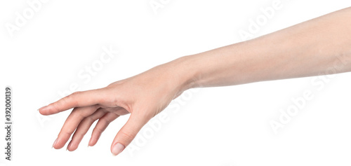 Female caucasian hands isolated white background showing different gestures. woman hands showing gesture holds something or takes, gives, points