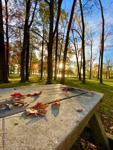 autumn in the park