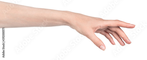 Female caucasian hands isolated white background showing different gestures. woman hands showing gesture holds something or takes, gives, points