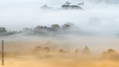 The march of the day, wonderful sunrise over the foggy forest © manuel