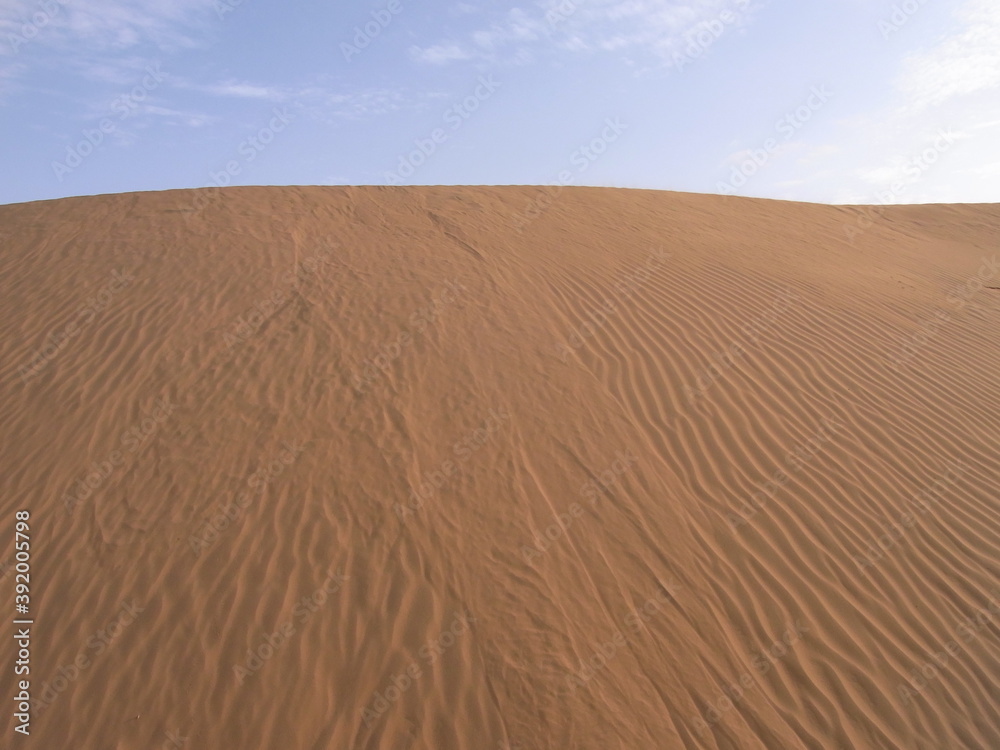 インドのジャイサルメールの砂漠