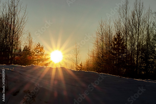 Dawn. Christmas. Winter landscape, frosty morning sunrise. The sun rises from the horizon, illuminates the snow and trees © Andrey