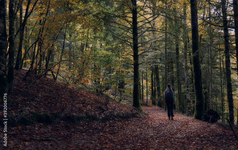 Hiking woman with backpack walking in forest in autumn Hiking woman with backpack walking in forest in autumn