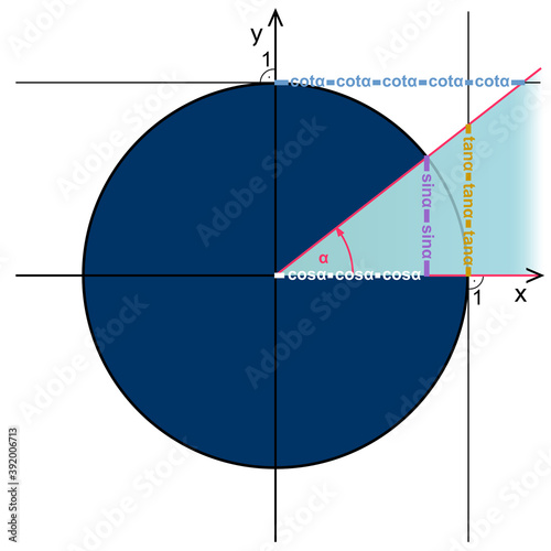 Trigonometric circle. Presentation of functions sine, cosine, tangent and cotangent on the trigonometric circle.