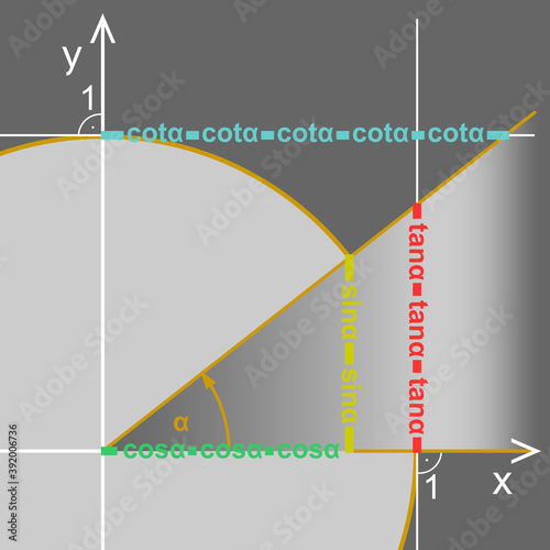 Trigonometric circle. Presentation of functions sine, cosine, tangent and cotangent on the trigonometric circle.