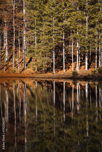 Reflecions on the water of ...