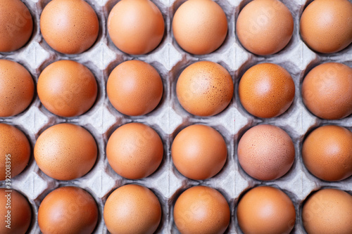 A close up of raw chicken eggs in egg panels