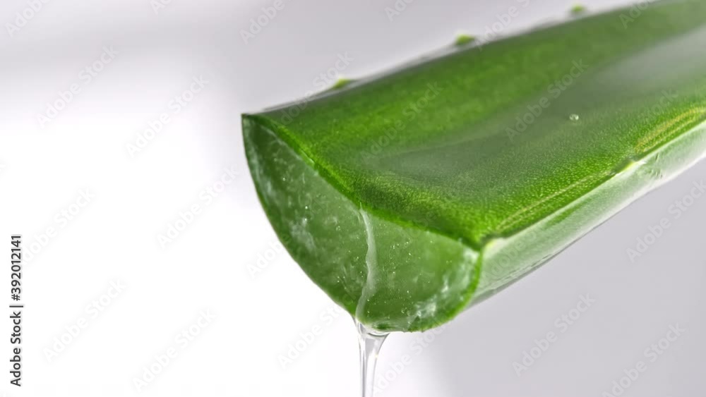 Motion of dropping a drop aloe vera liquid from leaf on green blurred background. Herbal medicine for skin care and hair care. High quality 4k footage Motion of dropping a drop aloe vera liquid from leaf on green blurred background. Herbal medicine for skin care and hair care. High quality 4k footage