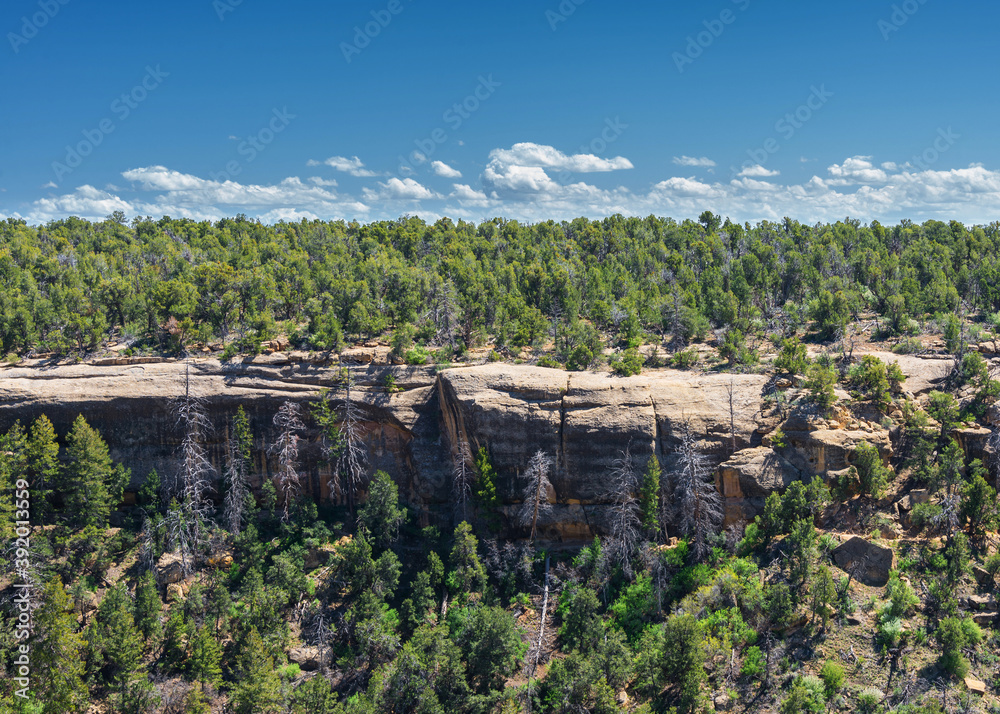 Tree-covered rocky sheer mountainside