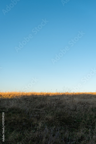 Thin line of sun left on golden dry grass on autumn hill with clear blue sky lots of copy space for text