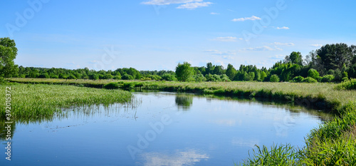 Small river in the middle of a green field against the background of a forest with trees and a blue sky with clouds in summer season
