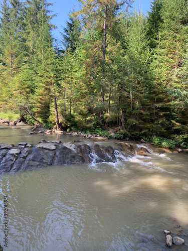 river in the woods
