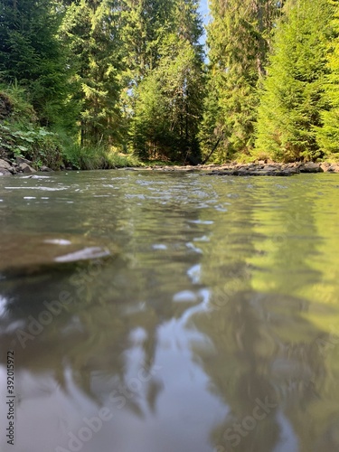 river in the woods