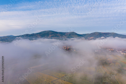 A drone view of the stunning expanse of the Vosges foothills. Autumn vineyards in the morning fog.