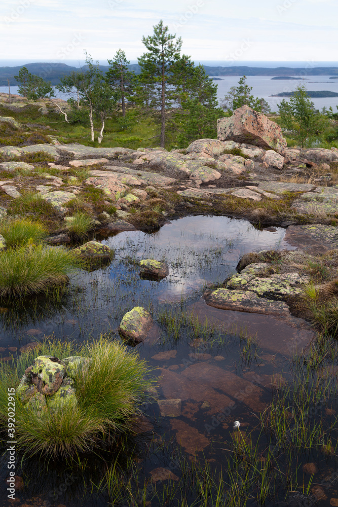 View from Slåtterdalsberget/ Höga Kusten leden, Sweden View from Slåtterdalsberget/ Höga Kusten leden, Sweden