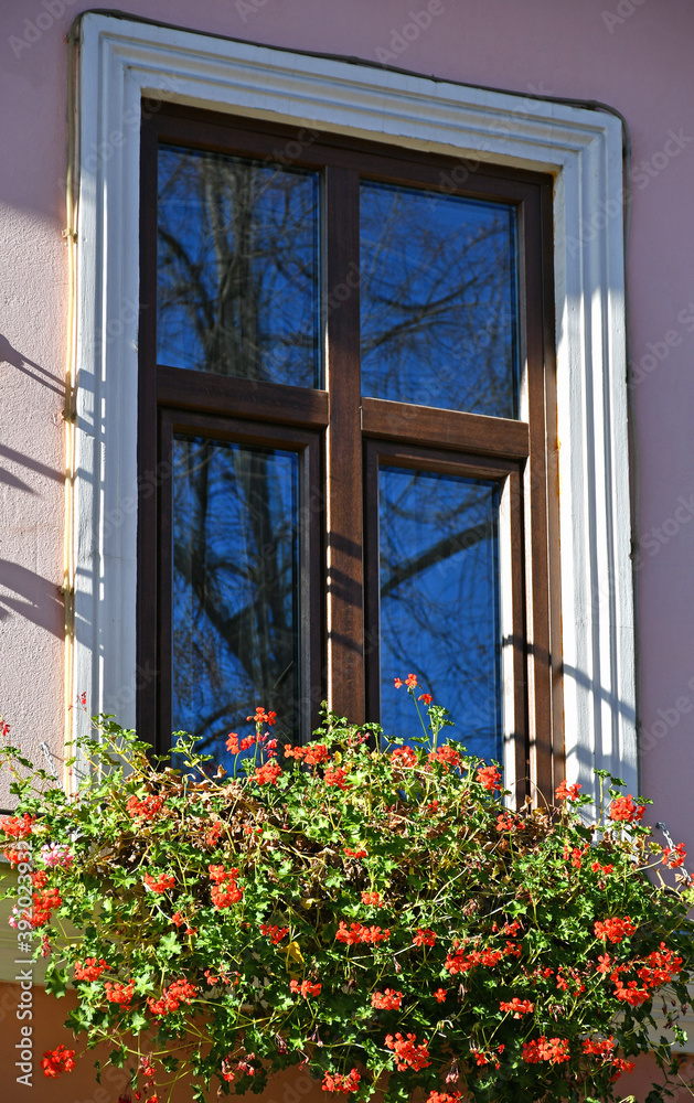 Flowers in the window of a house