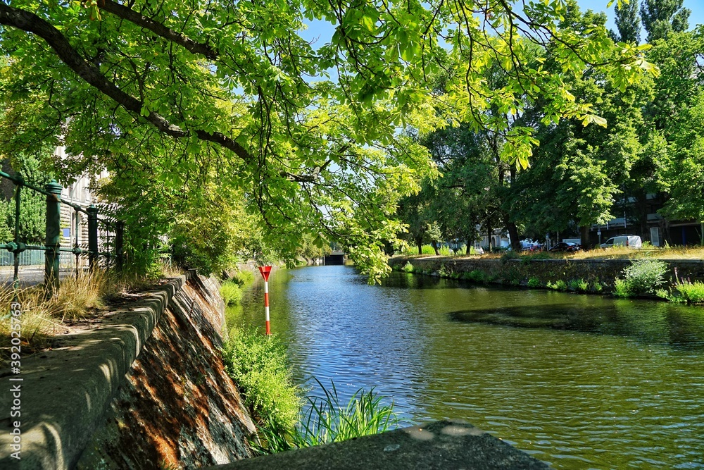 Obraz premium river in the park