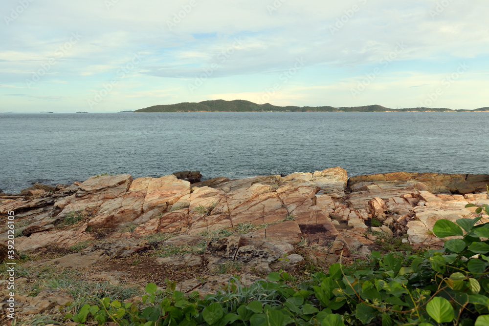 Coastal sea pictures With creepers and cracked rocks in the fore