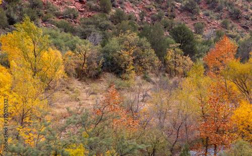 Scenic Verde River Canyon Arizona in Autumn