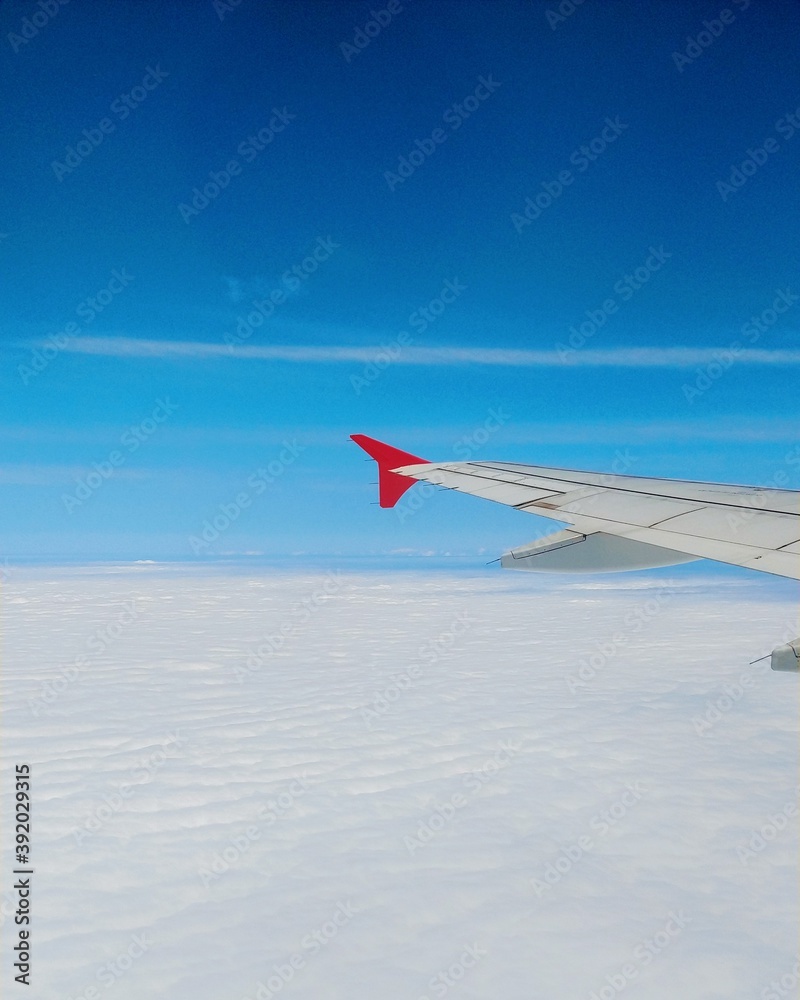 Fototapeta premium airplane in the sky