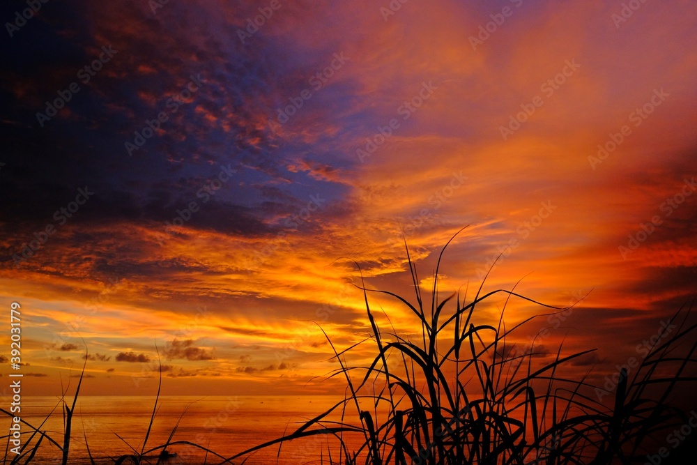 Beautiful sunset sky with silhouette grasses at foreground.
