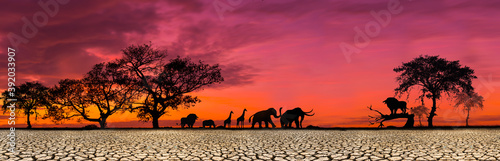 silhouette of wild animals walking through the barren ground. On a beautiful sunset background. Elephant, Lion, Giraffe, Rhino.