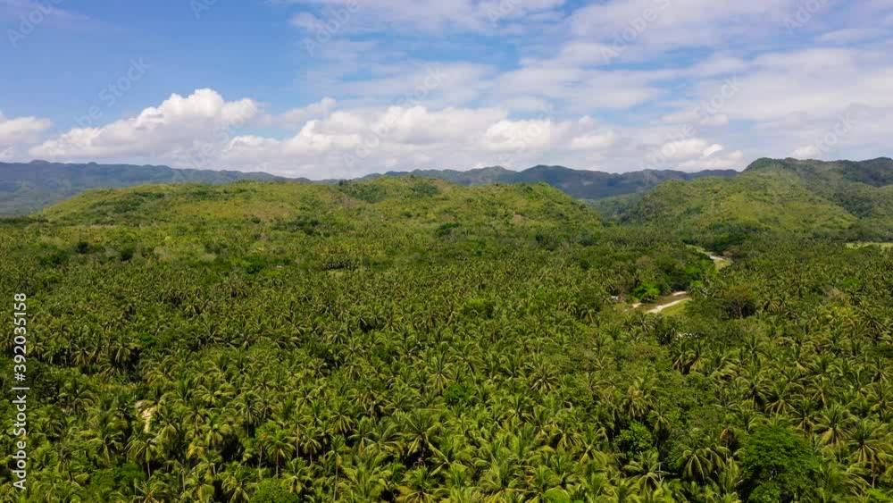 Mountain landscape with clouds. Evergreen forest on a tropical island. Summer and travel vacation concept. Mountains on Leyte Island, Philippines. Mountain landscape with clouds. Evergreen forest on a tropical island. Summer and travel vacation concept. Mountains on Leyte Island, Philippines.