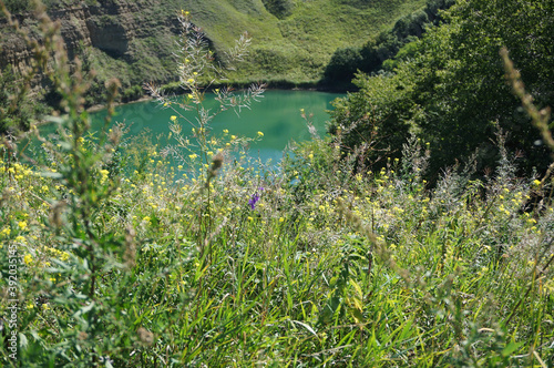 View of alpine summer forbs around karst mountain lake Shadhurei photo