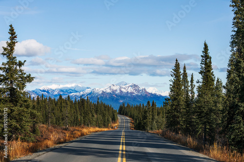 Road to snowy mountains between trees 