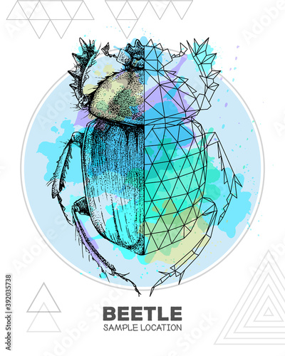 Realistic hand drawing and polygonal Scarabaeus beetle on watercolor background. Artistic Bug. Entomological vector illustration photo