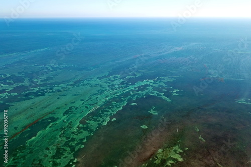 Tropical Sea Floor around Florida Keys photo