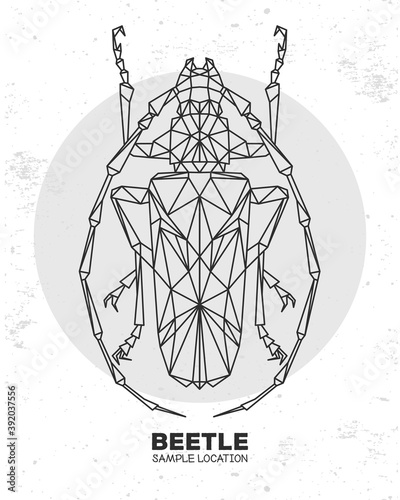 Abstract polygonal triangle longhorn beetle. Artistic Bug. Entomological vector illustration