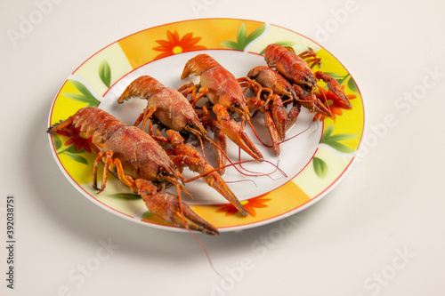 Boiled crayfish on a plate © Олег Мальшаков