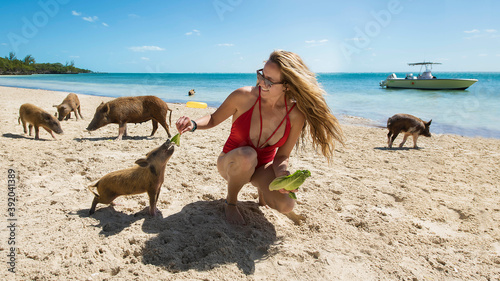 Young woman feeding lettuce to piglet at beach on sunny day